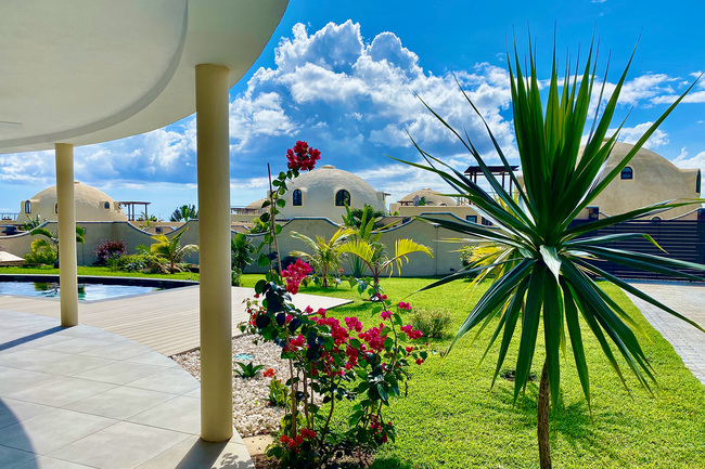 Domes d'Albion - Jardin et piscine