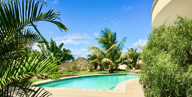 Les Domes d'Albion - Jardin et piscine